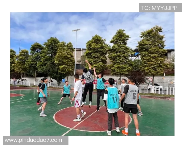 81中篮球：培养未来篮球明星的摇篮与成长之路